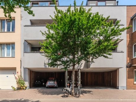 property 7800018 cover photo
