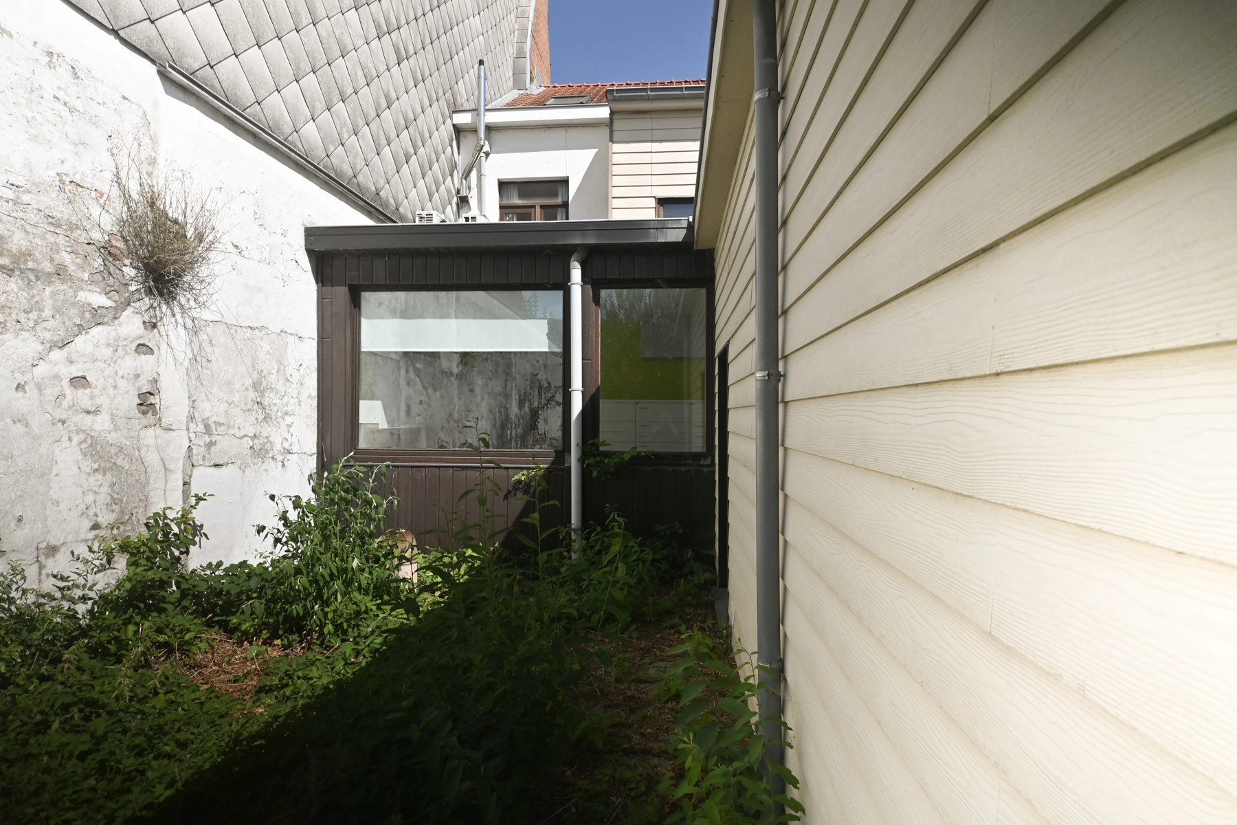 ab63ef460ffe487da1d730ff090a21ed photo