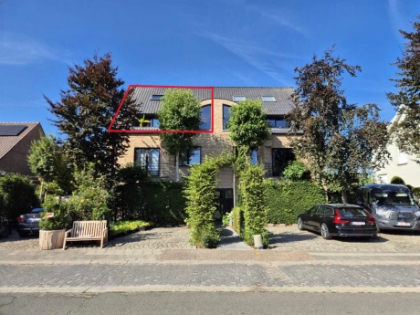property 7806649 cover photo