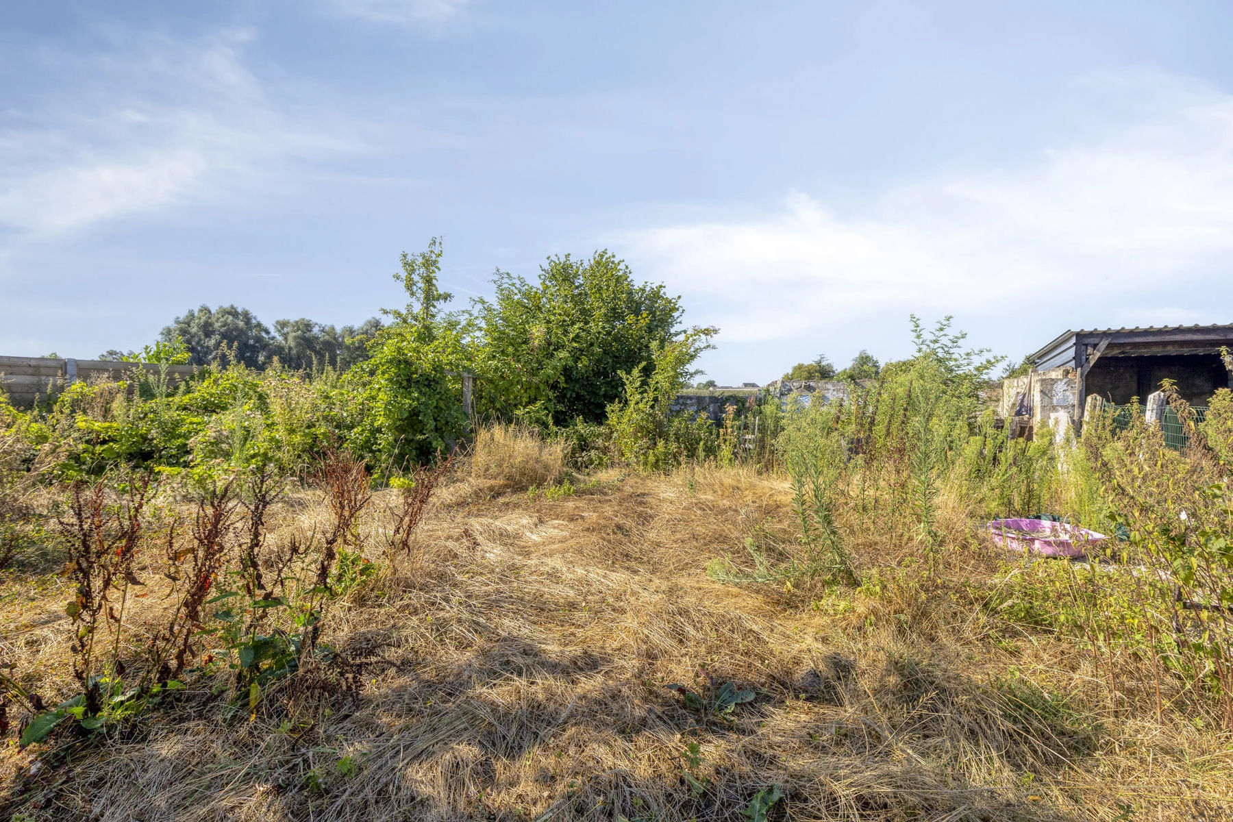 4ba82385a6164c8e848d4ef3a0963c86 photo